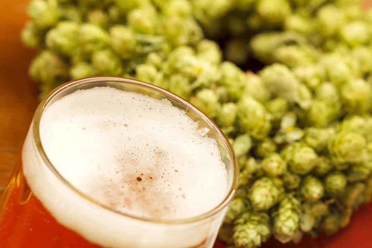 German Tettnang Hops