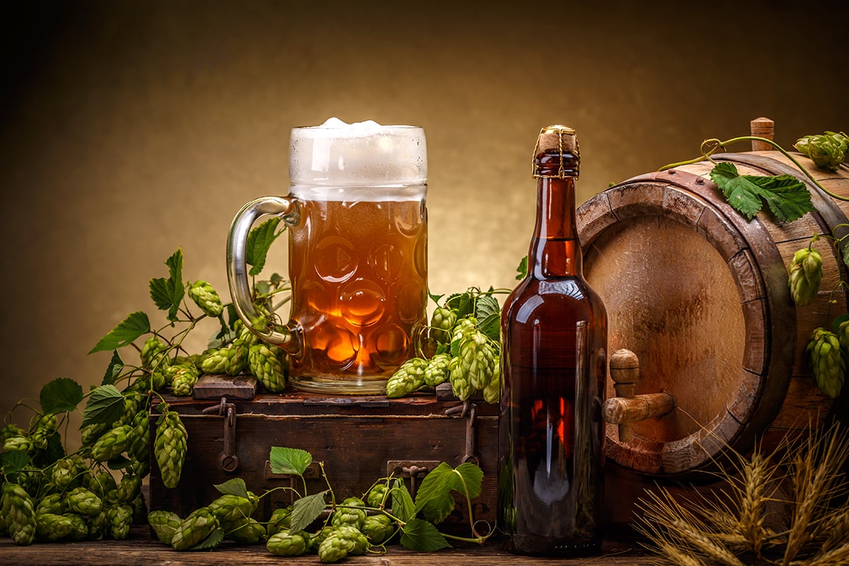 What Are the 4 European Noble Hops