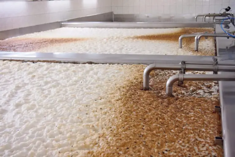 What Is Top Fermentation?