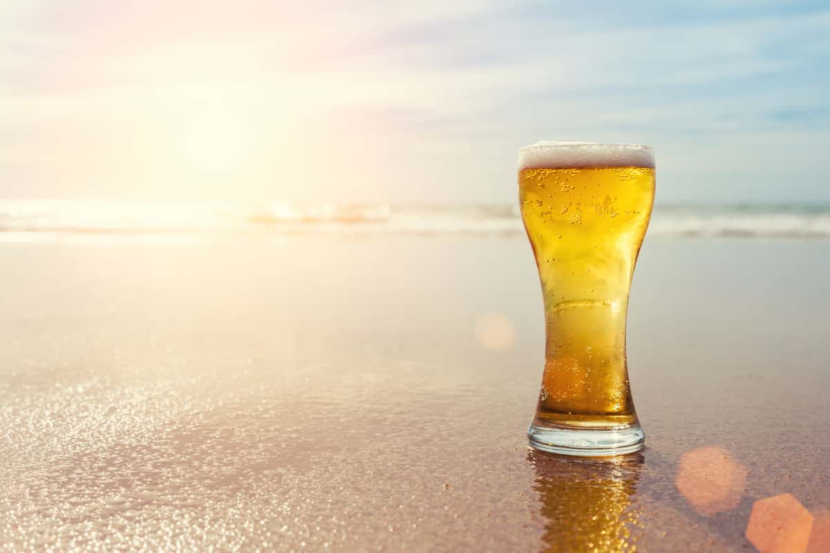 What Is an East Coast IPA?