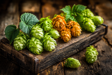 West Coast Ipa Hop Varieties